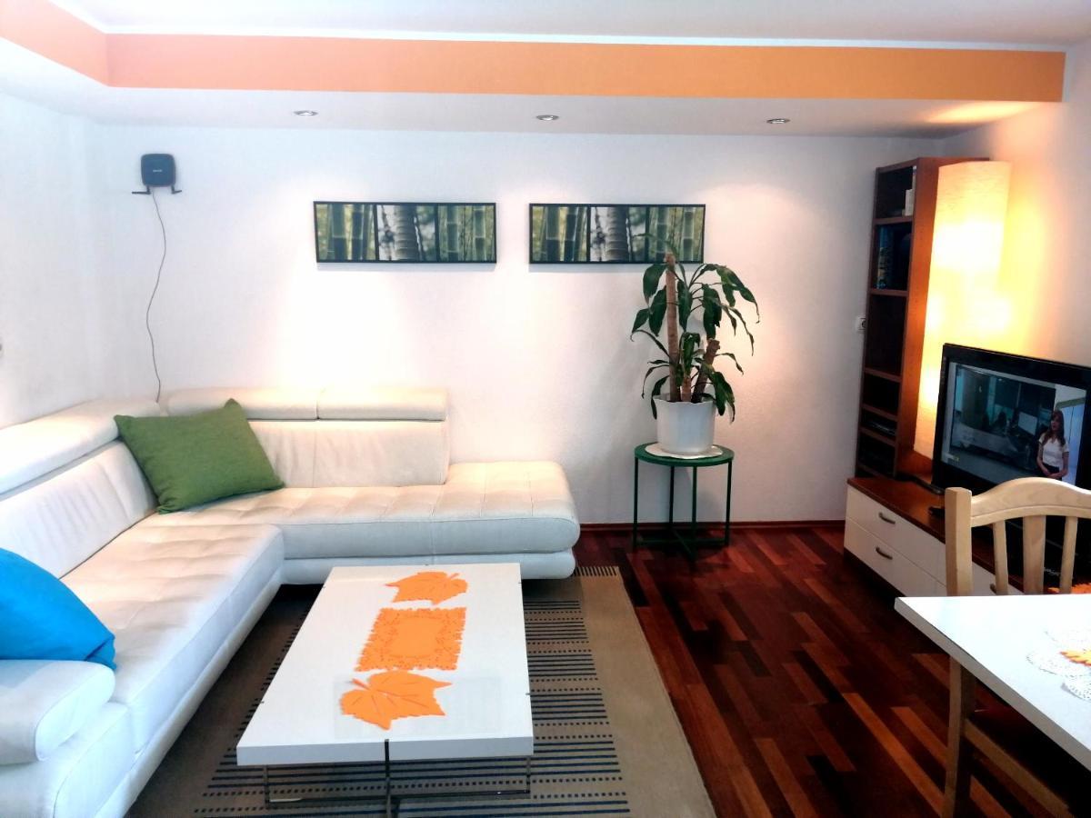Mateja House - Apartments In Zirovnica Rodine Zewnętrze zdjęcie