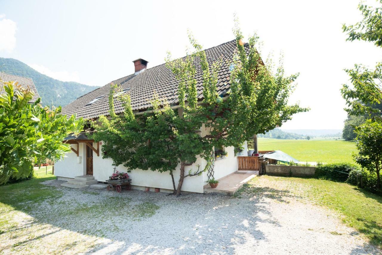 Mateja House - Apartments In Zirovnica Rodine Zewnętrze zdjęcie